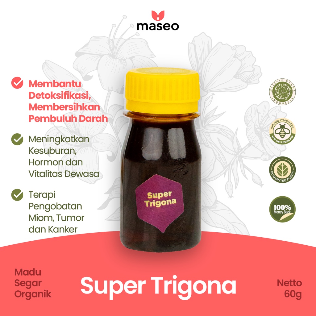 

Madu Klanceng Super Trigona Maseo Mini Size 60gr Madu Murni Asli Kelanceng Kelulut Detox Detoks Pembuluh Darah Obat Diabetes Stroke Imunitas Tubuh