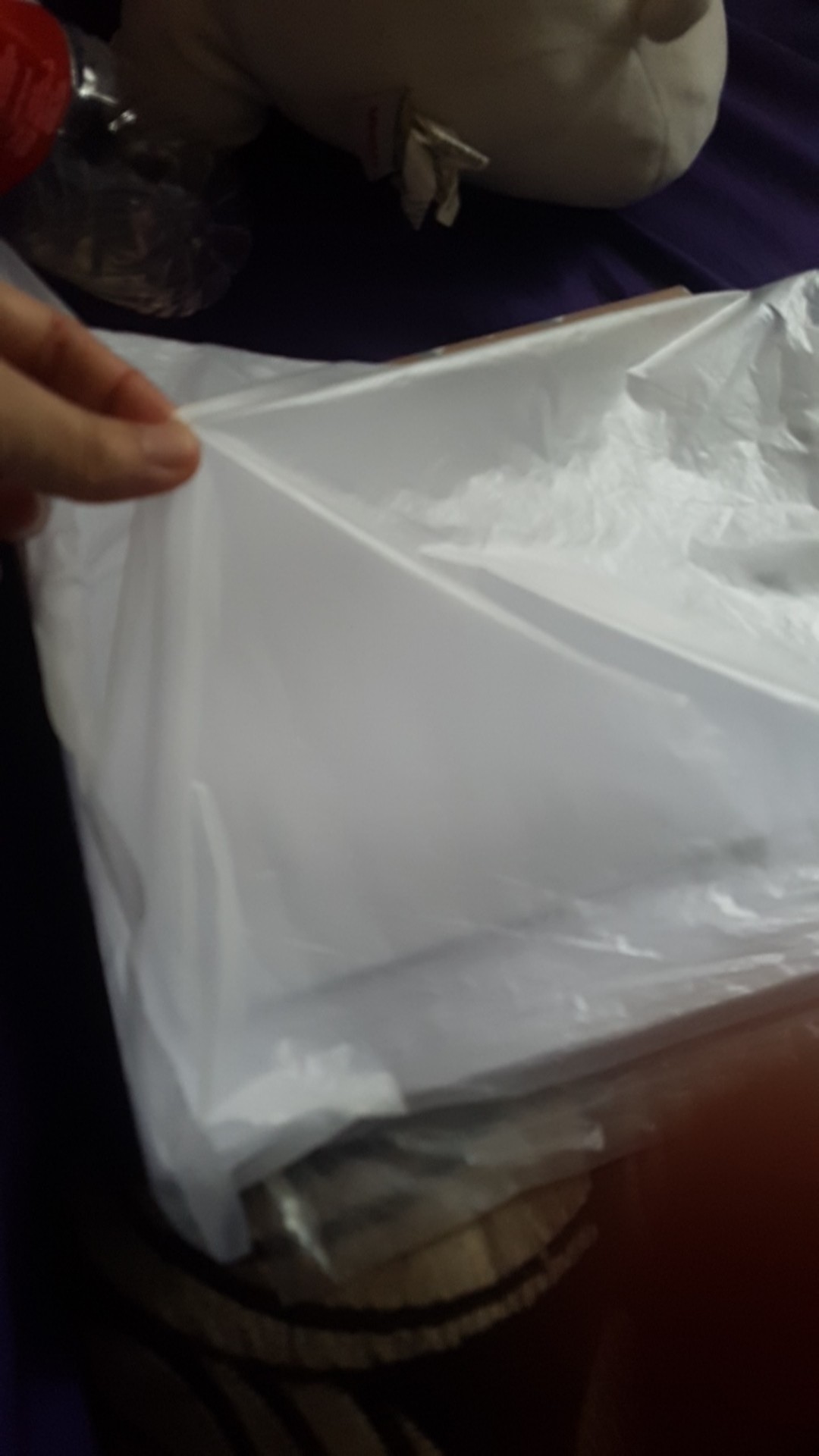 Pe Klip Plastic Clip Ziplock Zipper Bag Sealer 20x30