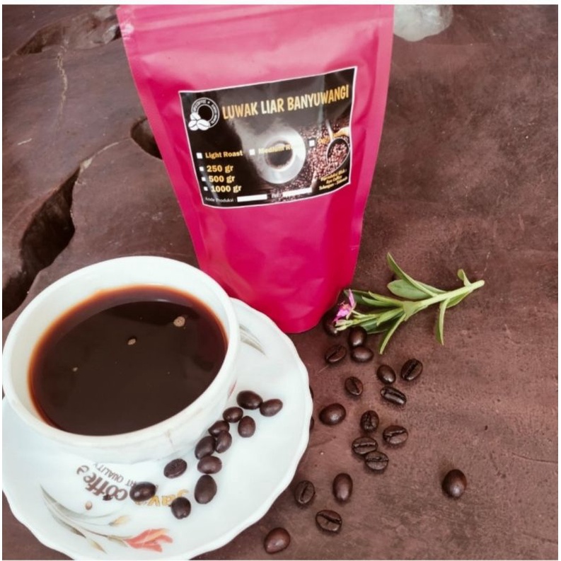 

luwak liar banyuwangi