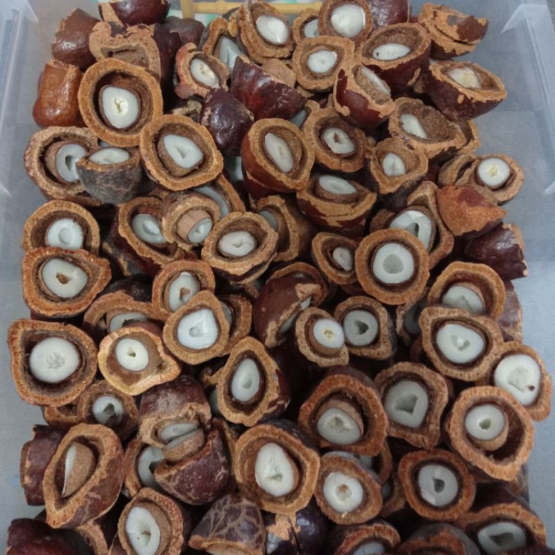 

Buah Zuriat Madinah Promil 250gr Free Testpack