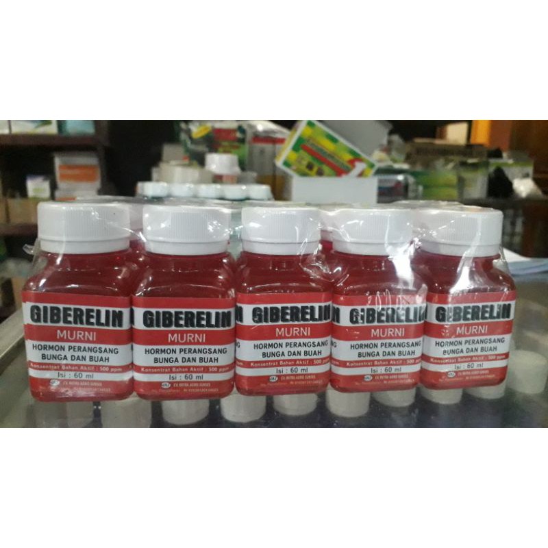 Hormon Giberelin Giberlin Ga3 Murni Perangsang Bunga dan Buah 60ml