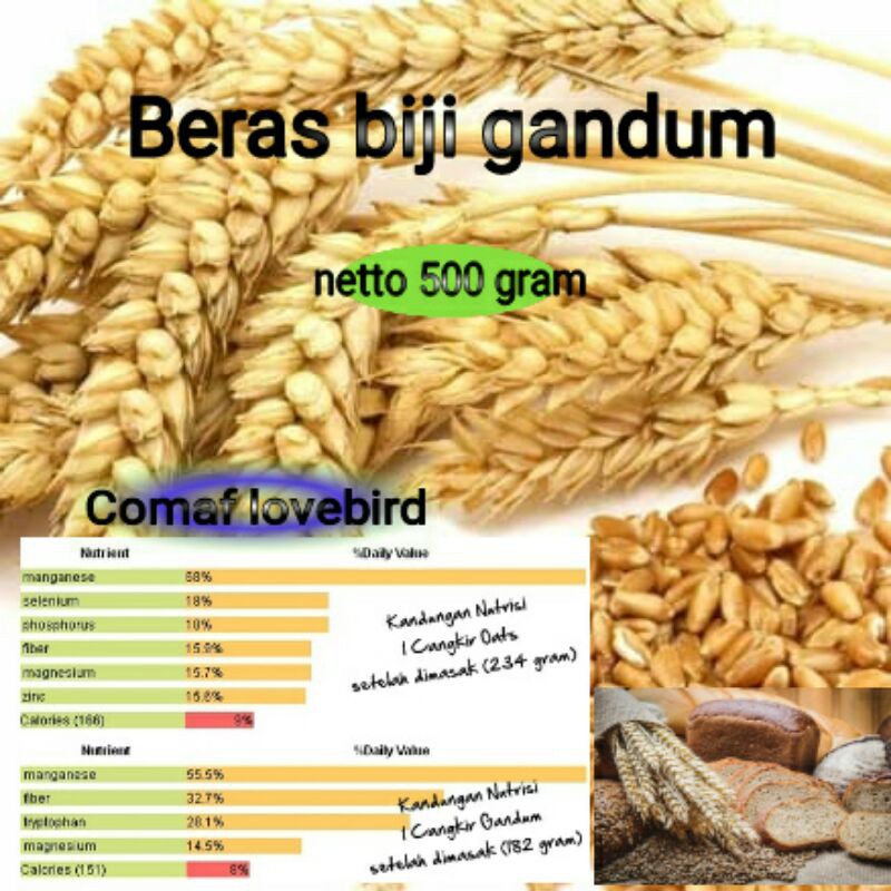 beras biji gandum 1kg
