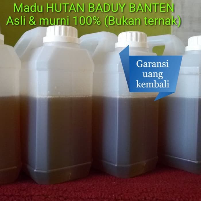 

MADU HUTAN BADUY BANTEN ASLI DAN MURNI 100% - MMD726