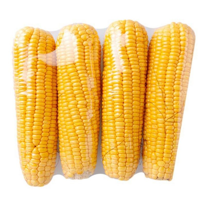 

Jagung manis