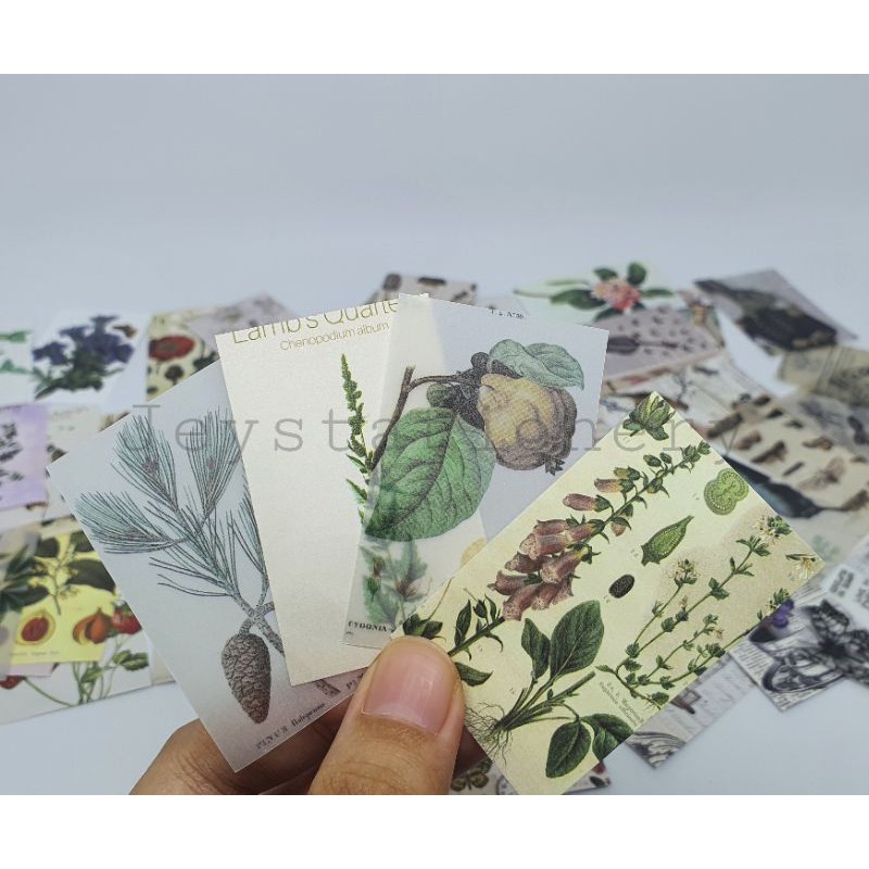 

Vintage mini deco paper ephemera for journaling