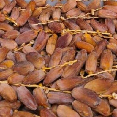 

SALE kurma tangkai Lyna 5kg/kurma tunisia tangkai murah/KURMA 1KG/KURMA BARARI/KURMA RUTHOB/KURMA BAM/KURMA PALM FRUIT/KURMA TANGKAI/KURMA AZWA/KURMA SUKKARI/KURMA SAFAWI/KURMA TUNISIA/KURMA MUDA KUNING/KURMA MUDA HIJAU/KURMA MEDJOL/KURMA MADINAH SUPER