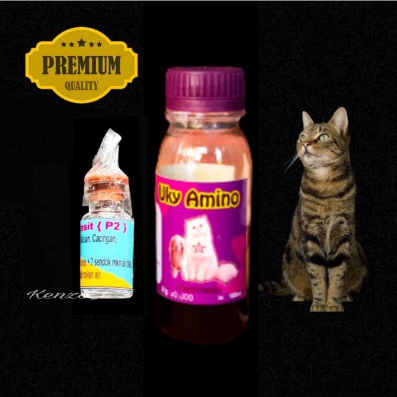 Paket Obat Kucing P2 Vitamin Uky Amino 100 Jamur Scabies Abses Cacing Kutu Gatal  Koreng Kulit