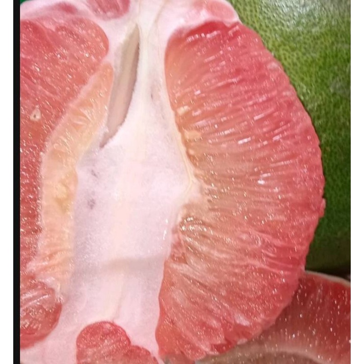 

Jeruk Red Pamelo Ukuran besar