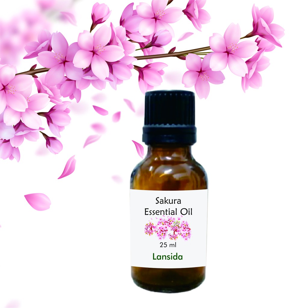 Sakura Essential Oil Cherry Blossoms Minyak Atsiri Bunga Sakura