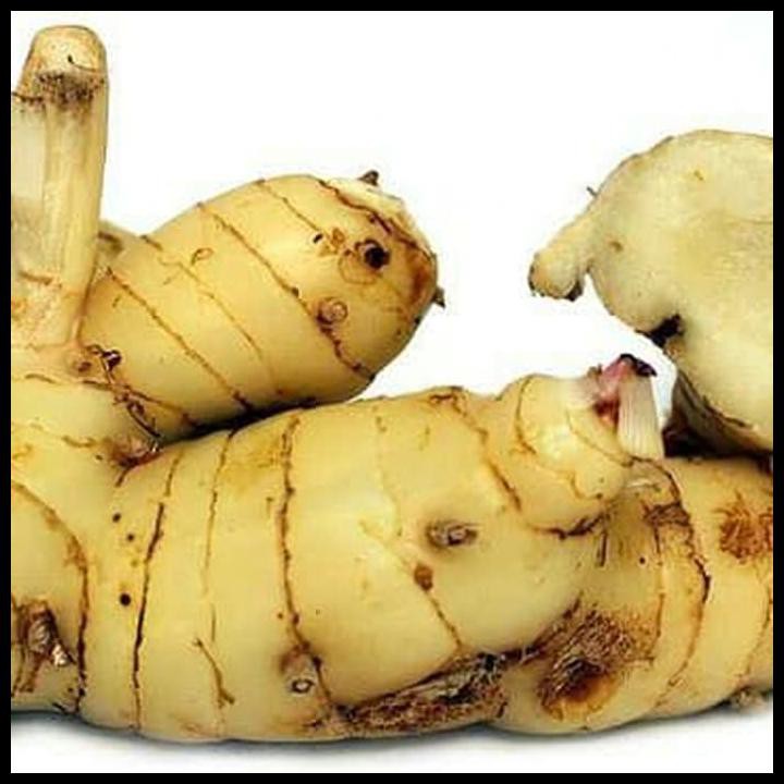 

Lengkuas Bubuk 250Gram / Galangal Ground 250Geam / Laos