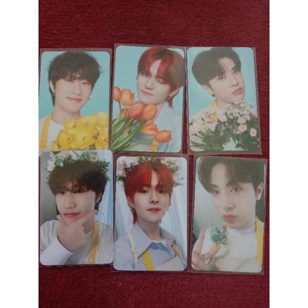 Ready stock Photocard Treasure Sharing MD Tincase Blooming Winter camp concept doyoung yedam Junghwa