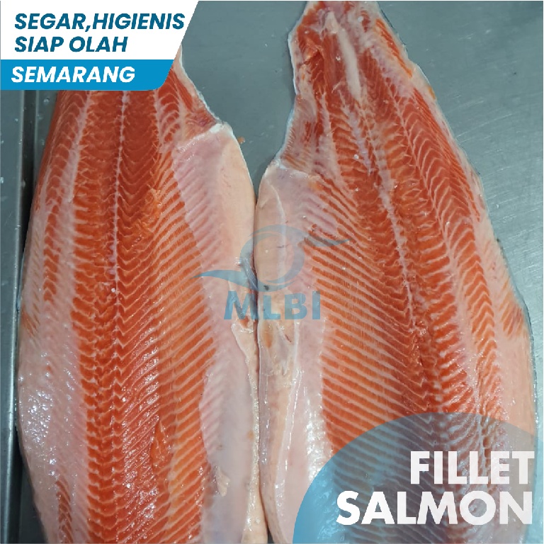 

Fillet Salmon Norwey Premium