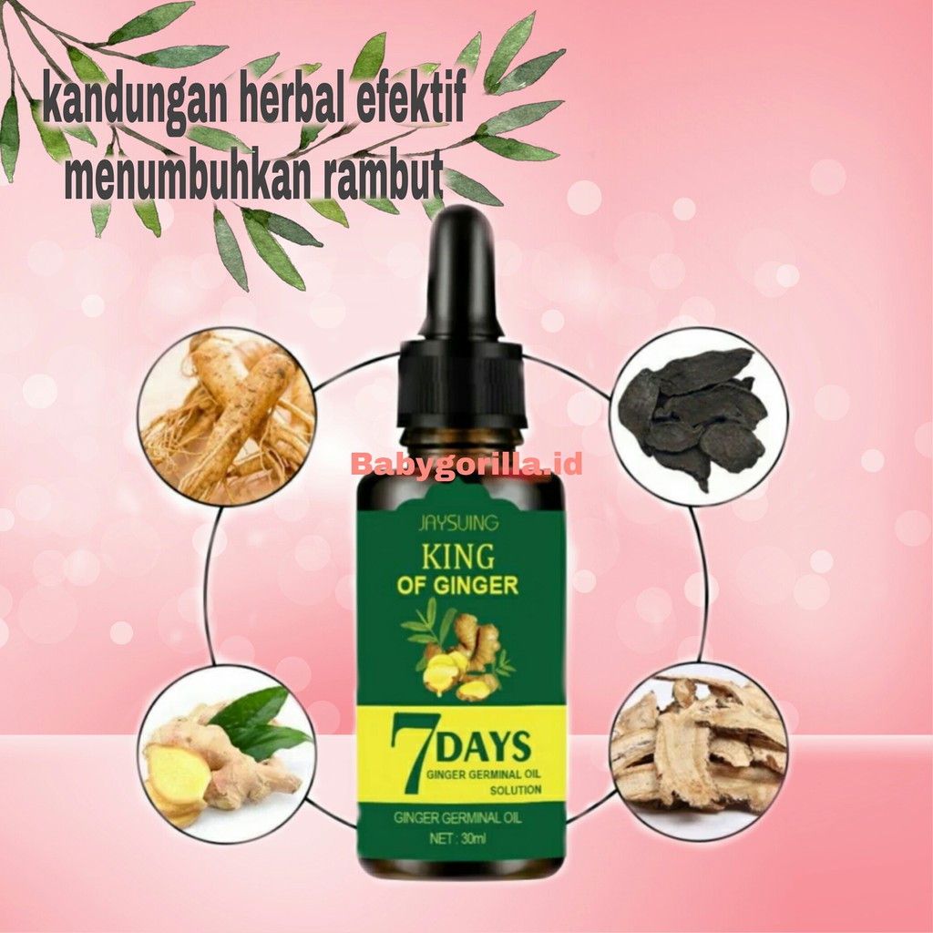 Cairan Essence Penumbuh Rambut Anti Rontok Serum Obat kebotakan Nutrisi Rambut Jahe-Babygorilla.id-1