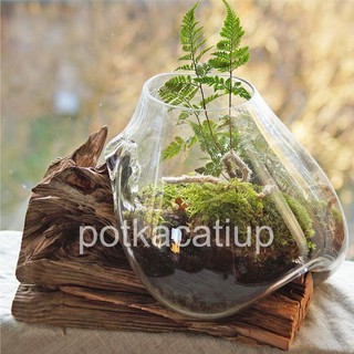 VAS BUNGA SIZE S POT SEKULEN KAKTUS AQUASCAPE POT 