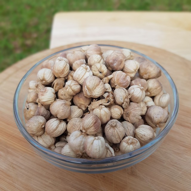 Kapulaga 1kg