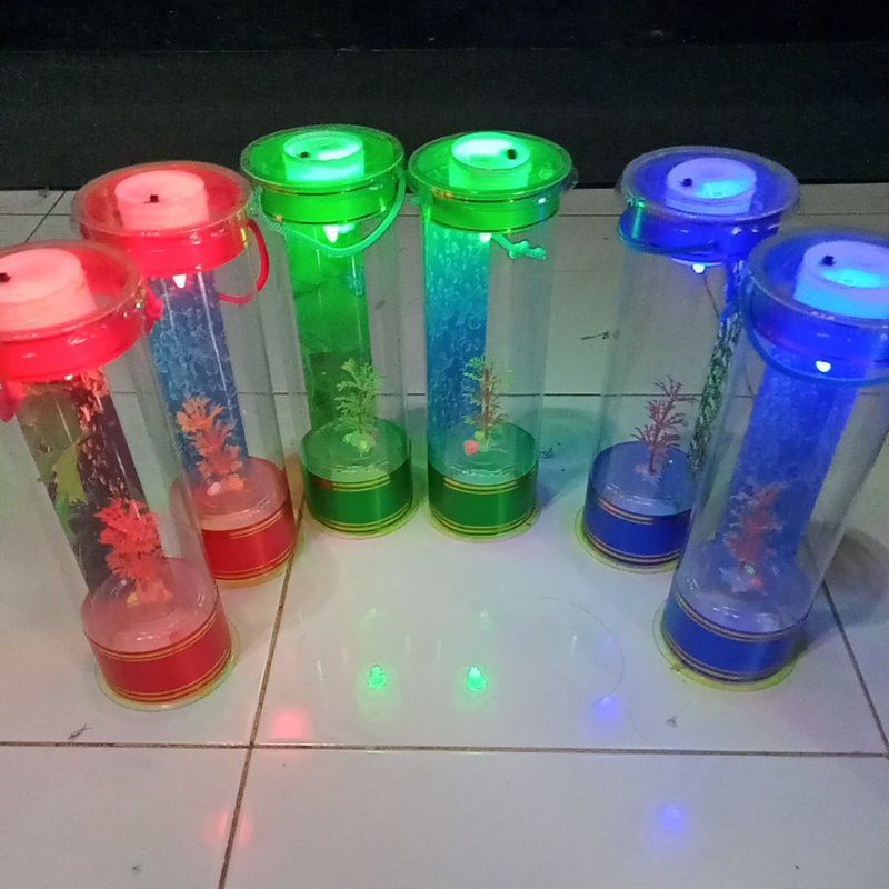 aquarium mini ikan cupang warna cantik