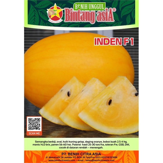 INDEN F1 Semangka Kuning