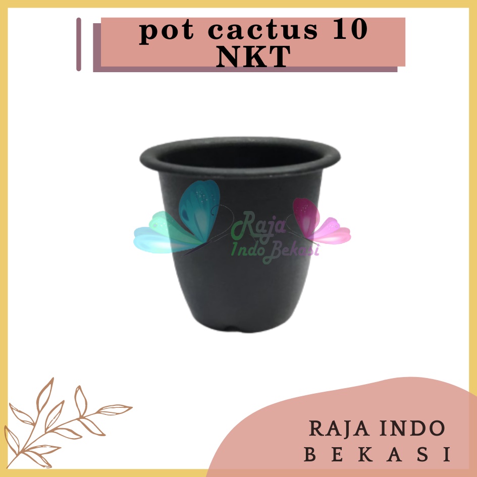 Pot Bulat Kaktus Nkt 10 Hitam Pot Plastik Hitam Cactus Hitam Sekulen Mini Hitam Mini