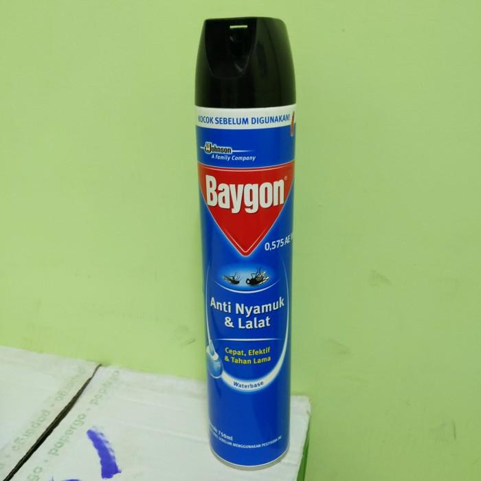 Baygon Aerosol Waterbase 750ml