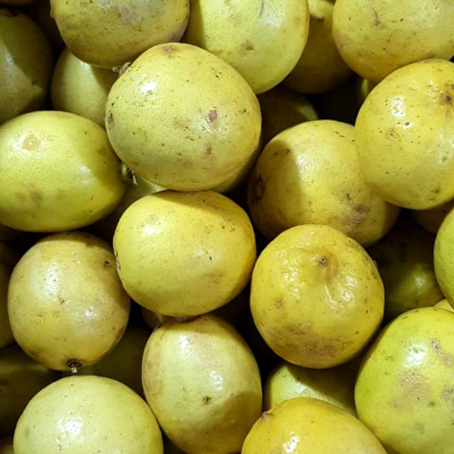 

Jeruk Lemon Lokal Super 1kg