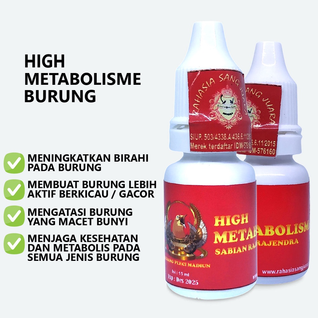 HIGH METABOLISME | METABOLISME HIGH UNTUK BURUNG PLECI KENARI MURAI PENAMBAH BIRAHI BURUNG