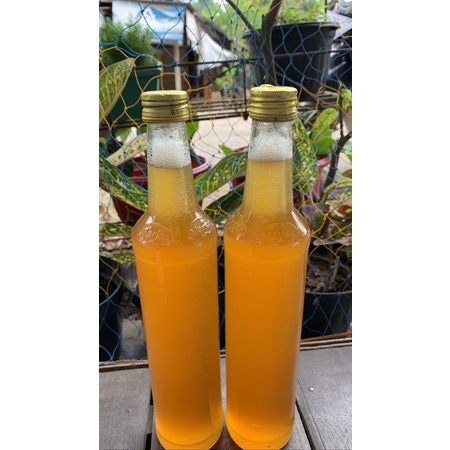 

Madu Lebah Asli Kalimantan