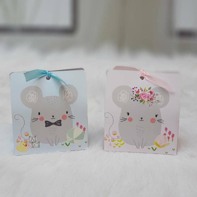 

Box Pipih Snack Goodie for Hampers Mouse Tikus Set 3