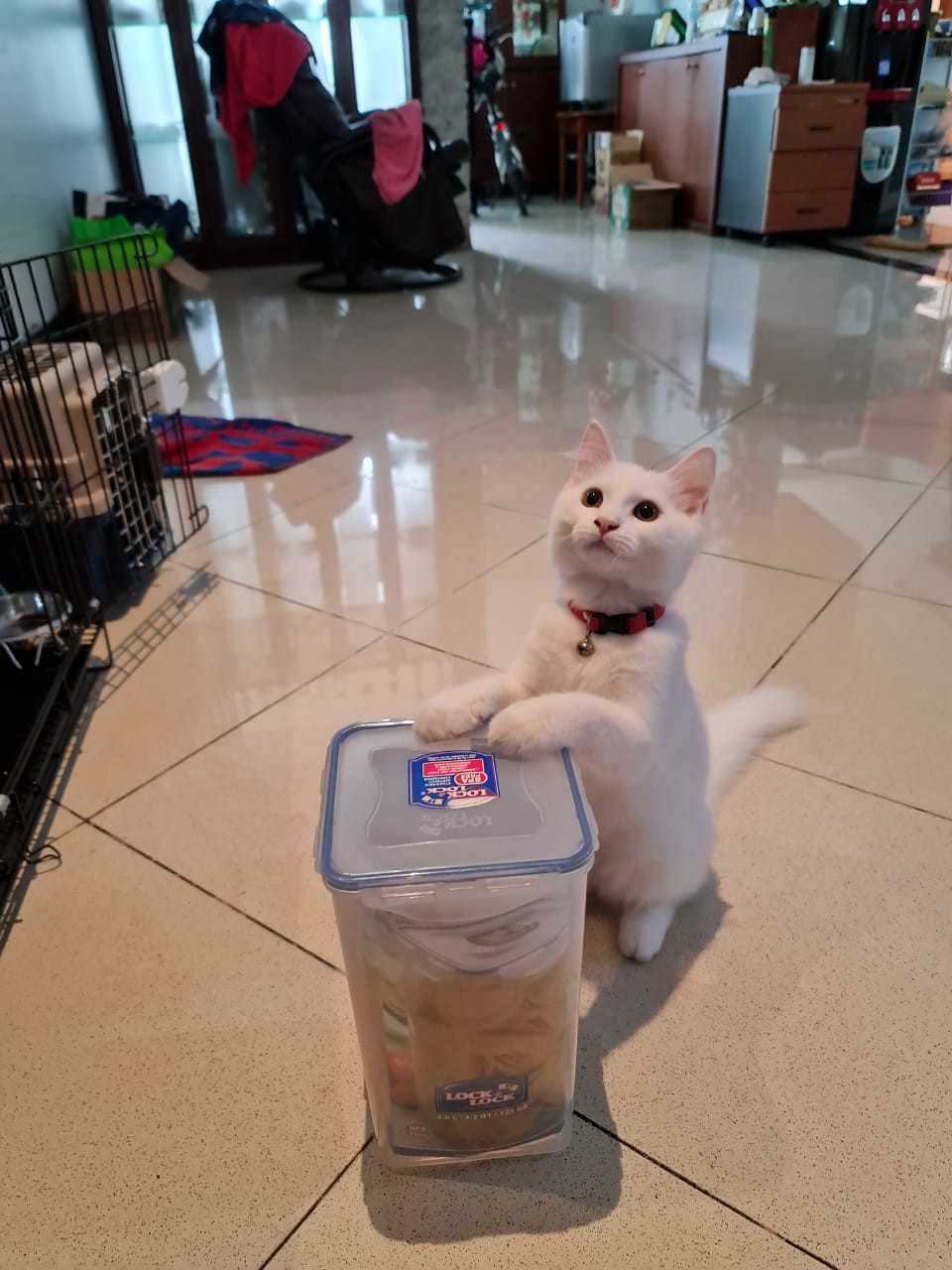 Lock&lock Toples Makanan 4liter - Hpl822r -