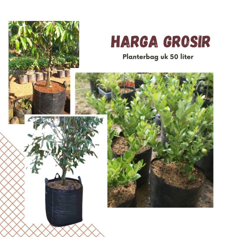 planter bag 50 liter