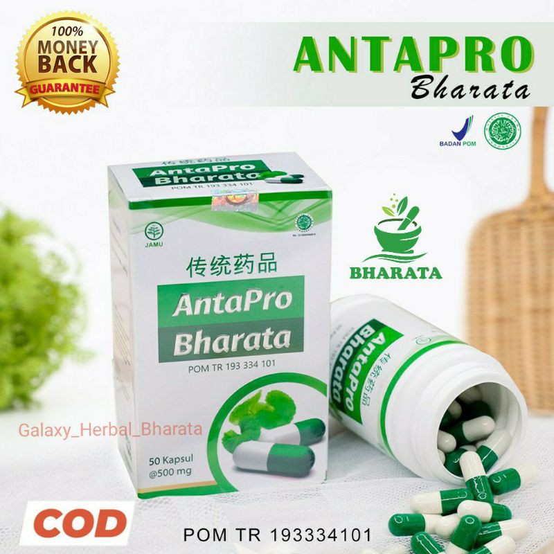 Obat Herbal Antapro Bharata | Obat Jantung Koroner | Obat Stroke | Antapro Bharata Herbal Ampuh | 100% Original-2