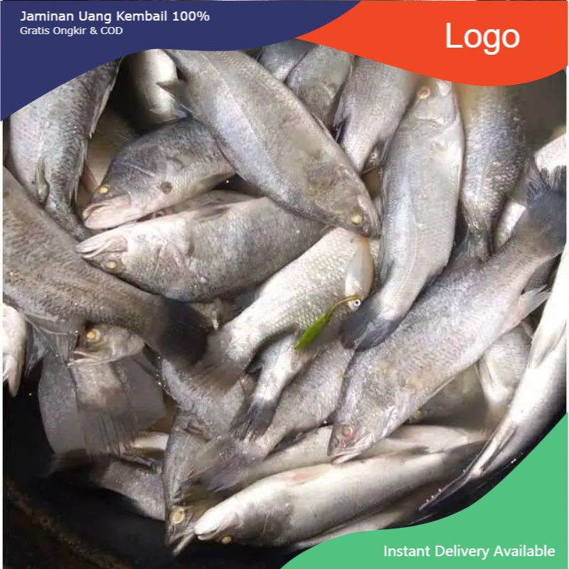 

ikan cukil @1kg