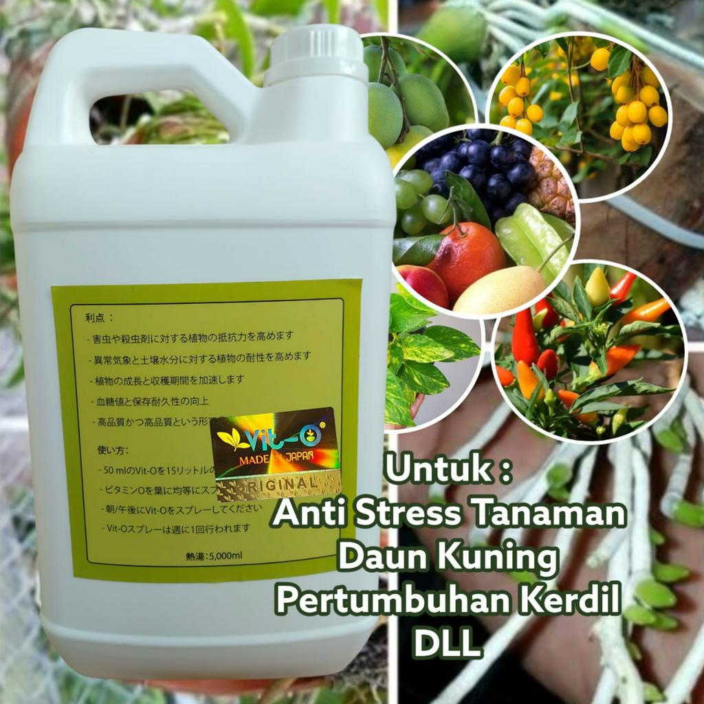 Pupuk Vit O Bahan Organik Plant Nutrition 5 Liter Untuk Semua Tanaman