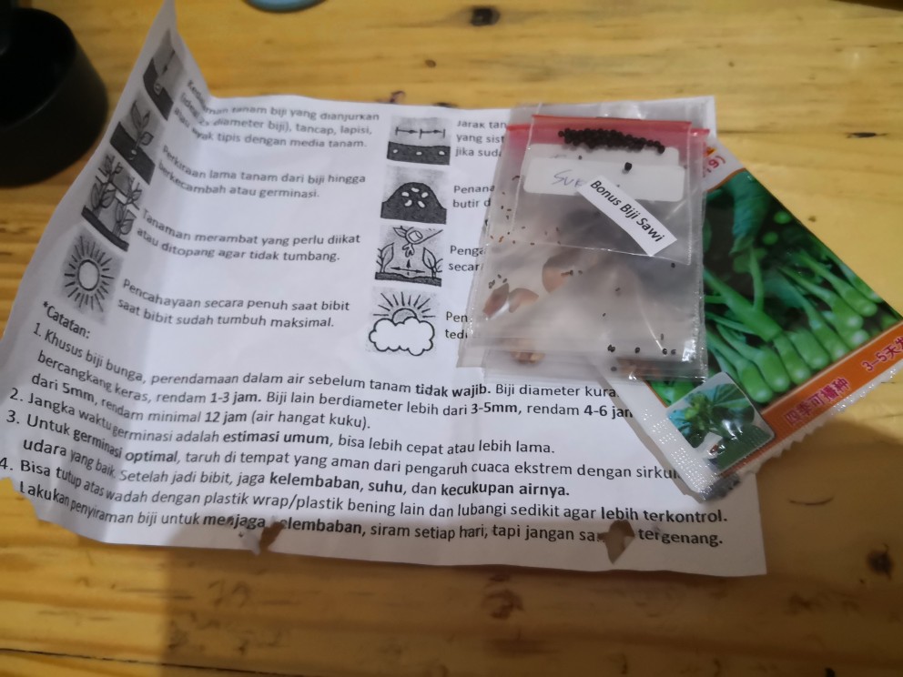 Benih/biji/bibit Bunga Sakura Mini