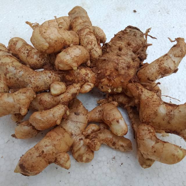 

Kunyit putih/Temulawak, 500 gram, tanaman herbal