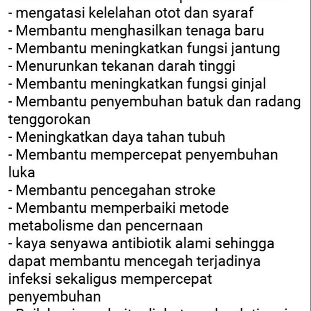 

madu trigona