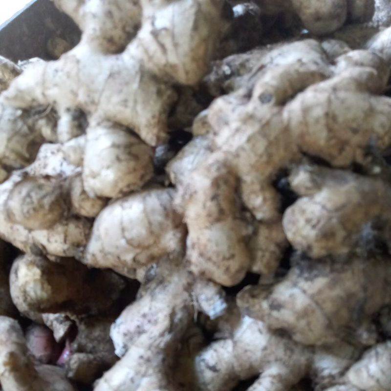 

jahe lokal 1kg