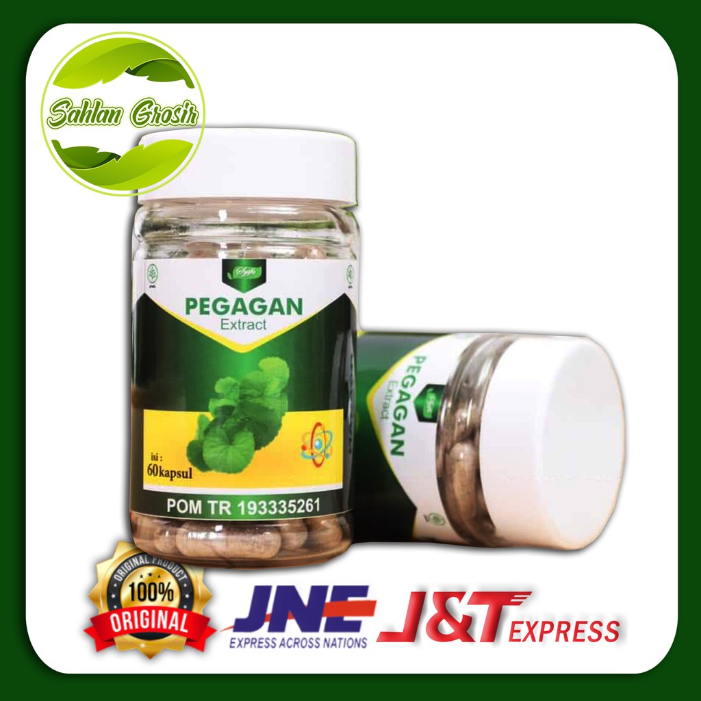 PEGAGAN EXTRACT / KAPSUL PEGAGAN / EXTRACT KAPSUL PEGAGAN / PEGAGAN
