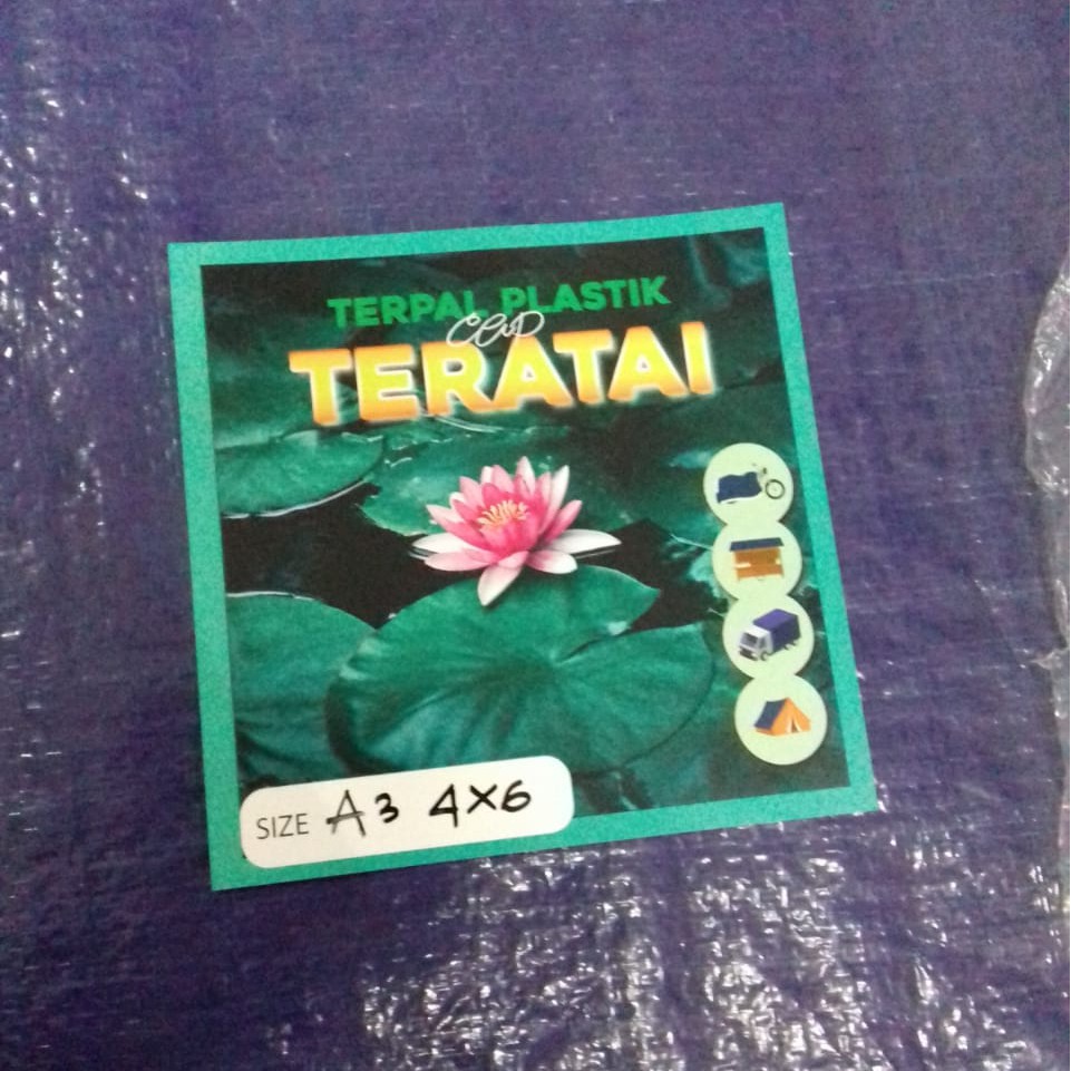 Terpal plastik A3 4 meter x 6 meter