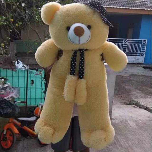 boneka teddy bear jumbo / boneka teddy bear super jumbo / boneka panda teddy bear lucu murah / grosi