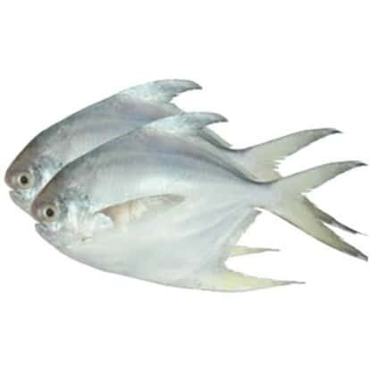 

Ikan bawal putih 1kg