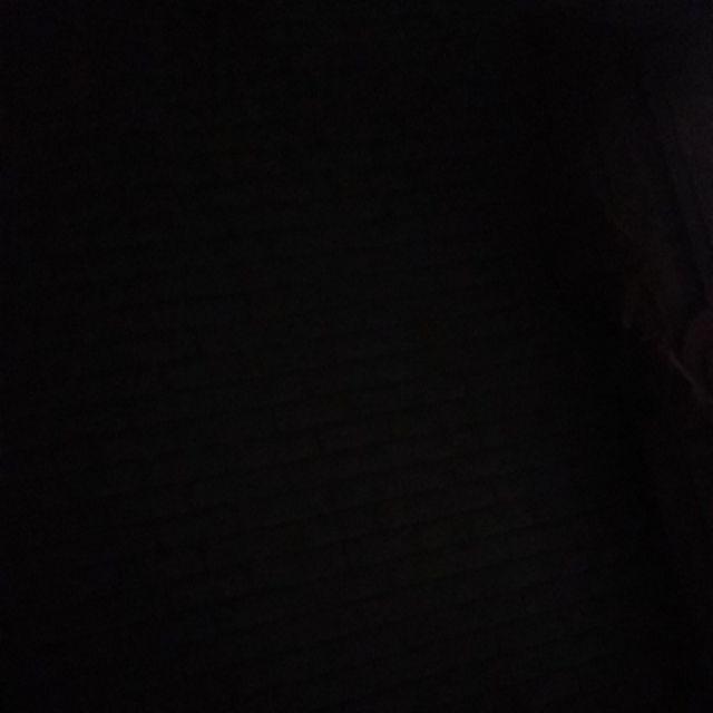 500 Gram Keji Beling / Pecah Beling Segar - Herbal Batu Ginjal