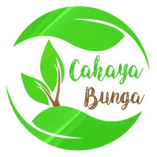 Tanaman Hias Kadaka Cobra Shopee Indonesia Tanaman Hias Kadaka Cobra Shopee Indonesia