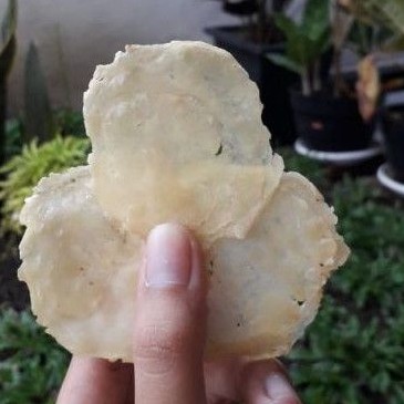 

Emping Melinjo Mentah 100% Original 1 Kg