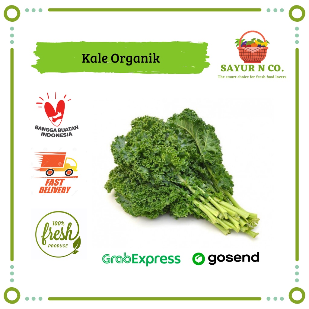 

Kale Hidroponik 250gr | Sayur N Co Bekasi