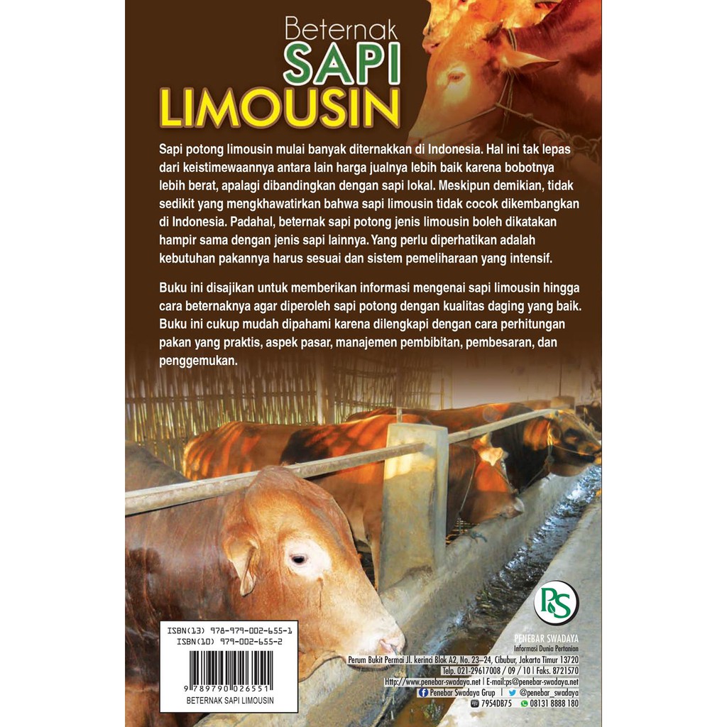 Beternak Sapi Limousin Shopee Indonesia