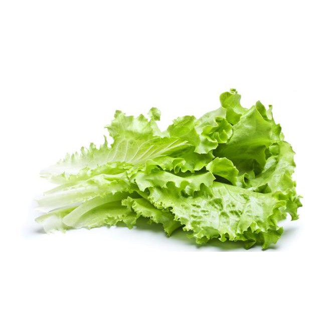Daun Selada Sayur Lettuce Salada Segar 250 Gram Sayur Online Bandung Pesan Antar Fresh Shopee Indonesia