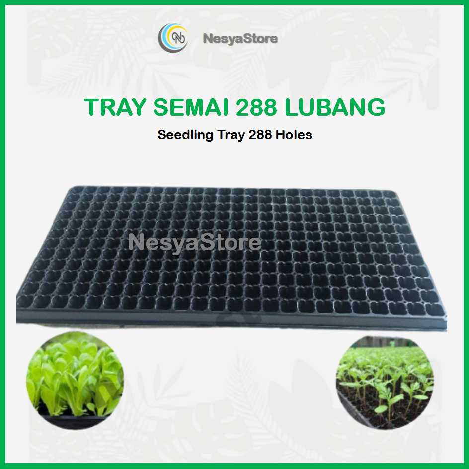 Tray Semai 288 Lubang Traypot Pot Bibit Tray Hidroponik- Tray Semai