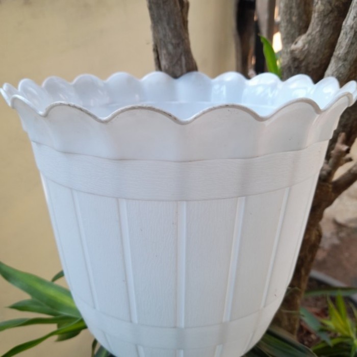 pot plastik, Rosalia putih, ukuran 25