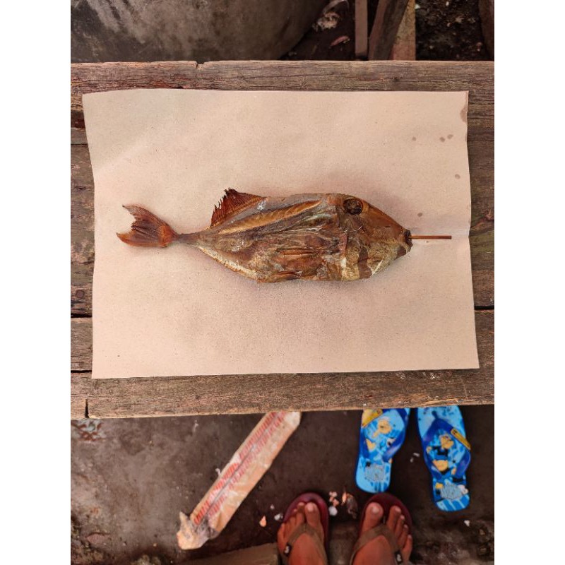 

Ikan Ayam-Ayam/Togeg Asap 250gram