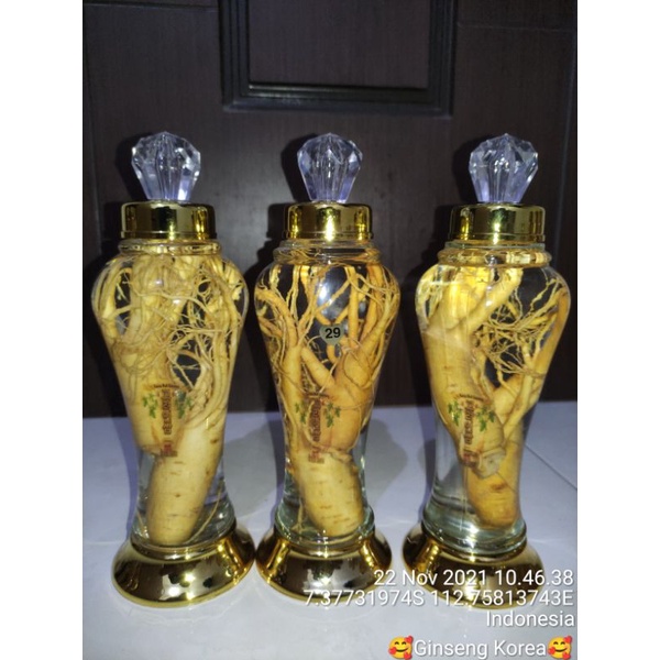 

Ginseng korea